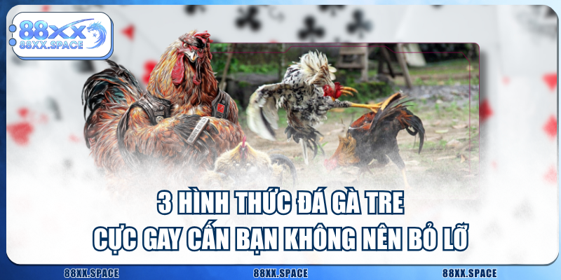 3 Hình Thức Đá Gà Tre Cực Gay Cấn Bạn Không Nên Bỏ Lỡ