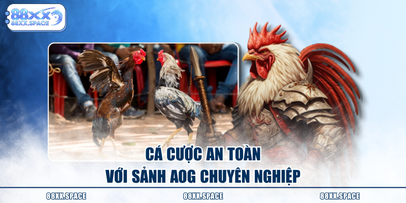 Cá cược an toàn với sảnh AOG chuyên nghiệp