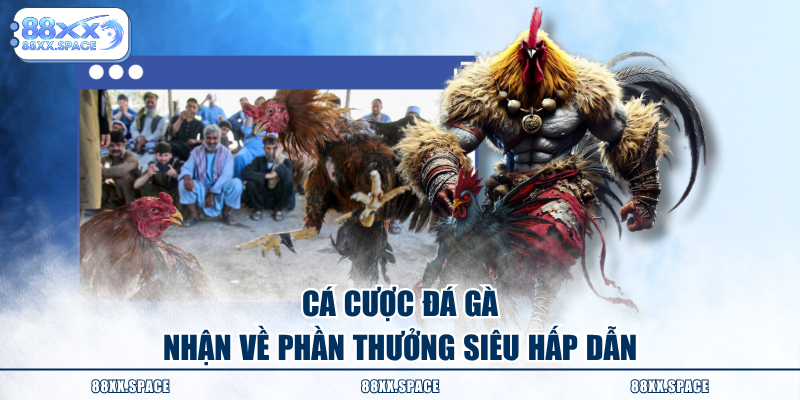 Cá cược đá gà nhận về phần thưởng siêu hấp dẫn