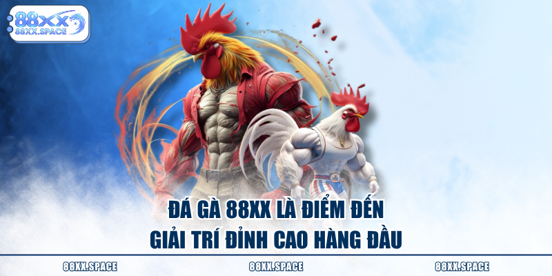 Đá gà 88XX là điểm đến giải trí đỉnh cao hàng đầu