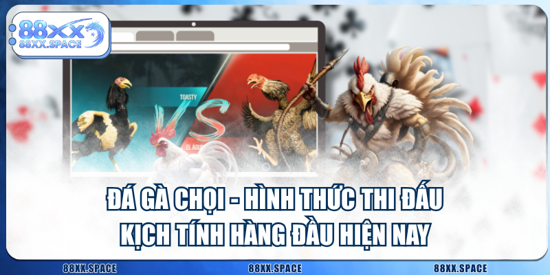 Đá Gà Chọi - Hình Thức Thi Đấu Kịch Tính Hàng Đầu Hiện Nay