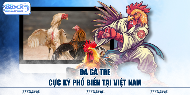 Đá gà tre cực kỳ phổ biến tại Việt Nam