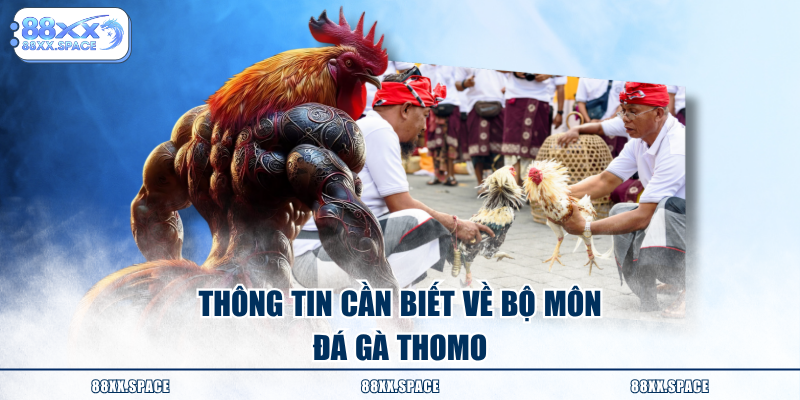 Thông tin cần biết về bộ môn đá gà Thomo