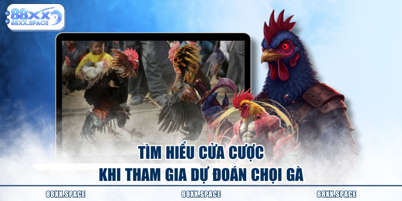 Tìm hiểu cửa cược khi tham gia dự đoán chọi gà