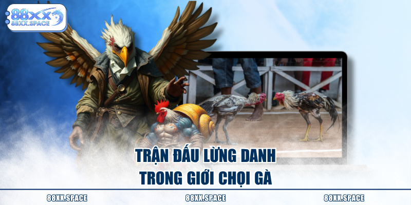 Trận đấu lừng danh trong giới chọi gà