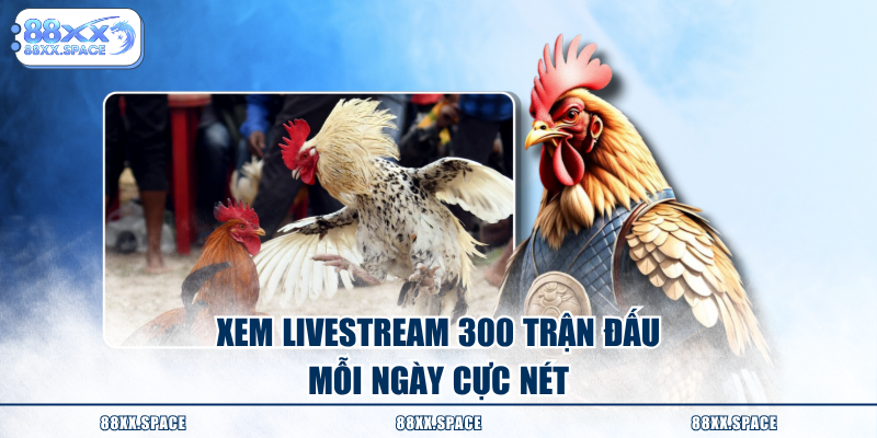Xem livestream 300 trận đấu mỗi ngày cực nét