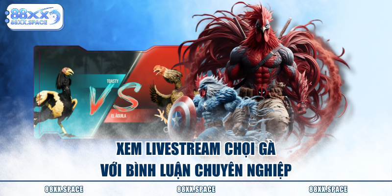 Xem livestream chọi gà với bình luận chuyên nghiệp